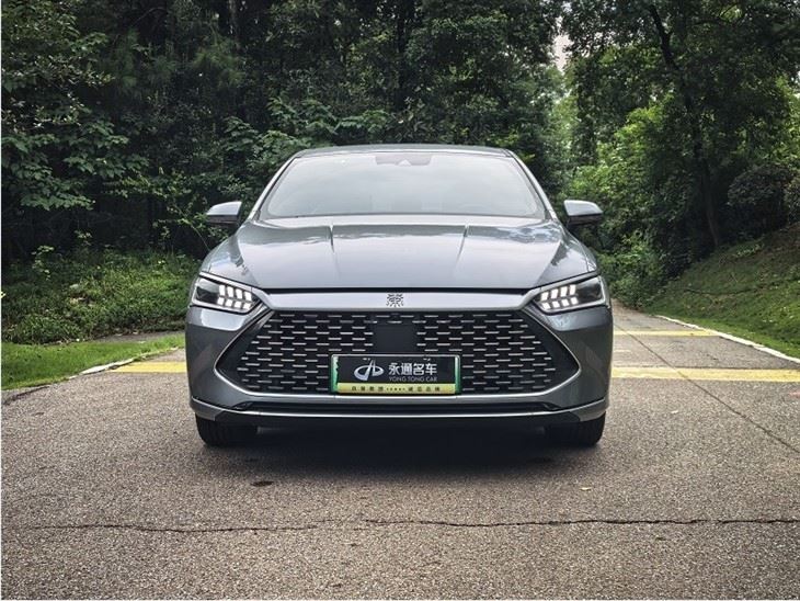 2023 BYD Qin PLUS Champion Edition DM-i 120KM Transcend Edition