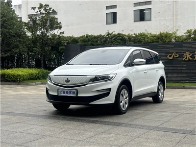 Ruì Blue Cars 2024 Maple Leaf 80V80VL 515KM 7 places Liti Lron